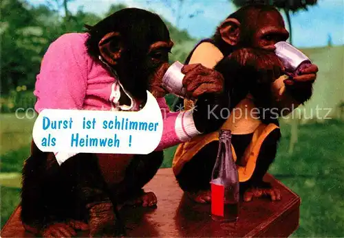 AK / Ansichtskarte Affen Zoo Sigy le Chatel Flasche Durst  Kat. Tiere