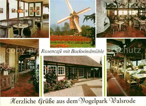 AK / Ansichtskarte Walsrode Lueneburger Heide Rosencafe Bockwindmuehle Kat. Walsrode
