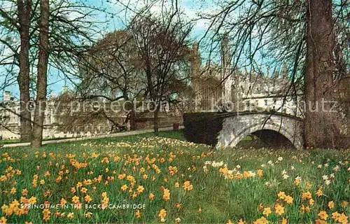 AK / Ansichtskarte Cambridge Cambridgeshire Springtime in the backs