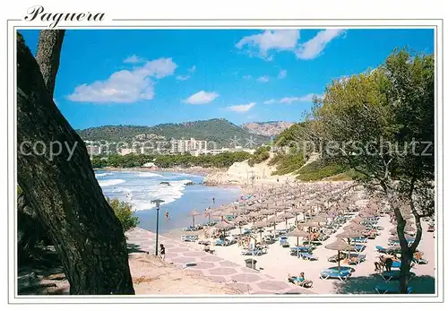 AK / Ansichtskarte Paguera Mallorca Islas Baleares Panorama Strand Kat. Calvia