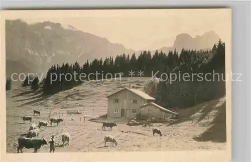 AK / Ansichtskarte Fuessen Allgaeu Schlossanger Alm Kat. Fuessen