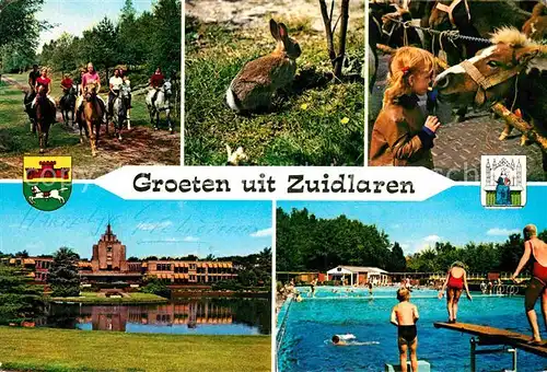 AK / Ansichtskarte Zuidlaren Reiten Hase Pferd Freibad Hotel See Kat. Zuidlaren