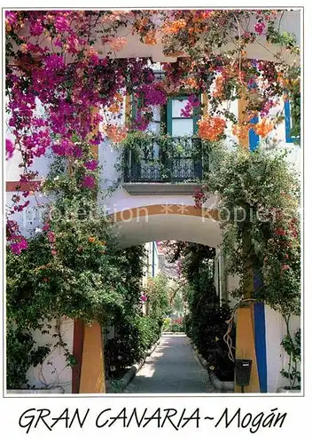 AK / Ansichtskarte Mogan Blumenschmuck Kat. Gran Canaria Spanien