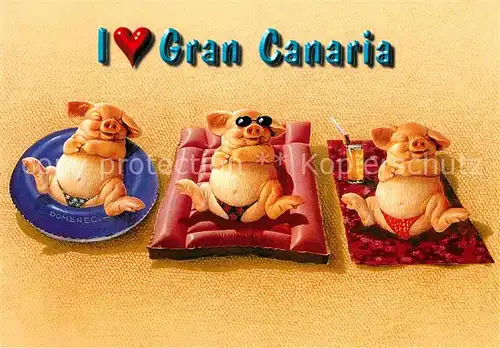 AK / Ansichtskarte Gran Canaria I love Gran Canaria Gluecksschweinchen Kat. Spanien