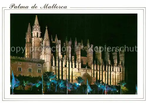 AK / Ansichtskarte Palma de Mallorca Catedral Siglo XIII notturno Kat. Palma de Mallorca