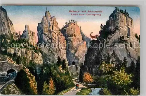 AK / Ansichtskarte Hoellental Schwarzwald Partie beim Hirschsprung Kat. Buchenbach