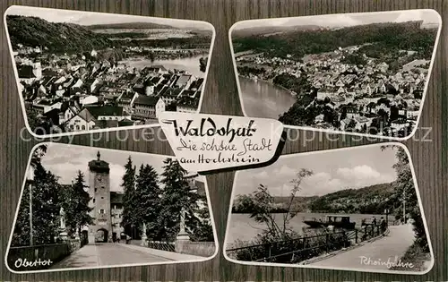 AK / Ansichtskarte Waldshut Tiengen Panorama Obertor Rheinfaehre