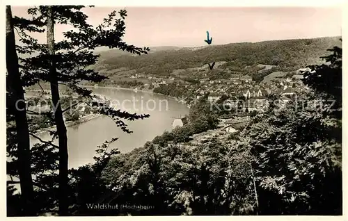 AK / Ansichtskarte Waldshut Tiengen Partie am Hochrhein