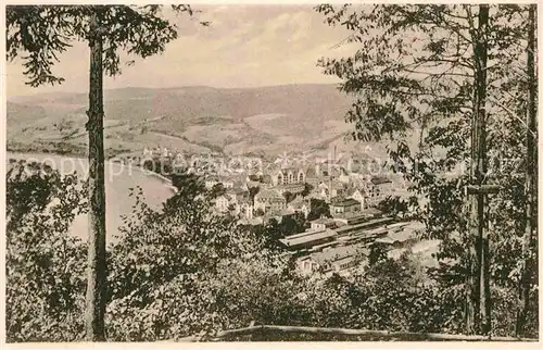 AK / Ansichtskarte Waldshut Tiengen Partie am Hochrhein