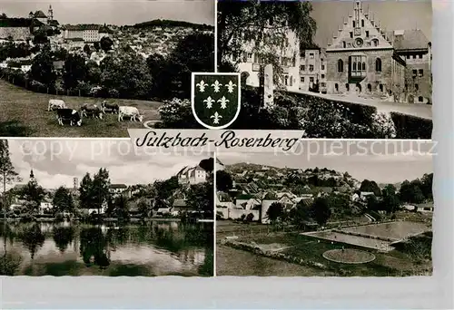 AK / Ansichtskarte Sulzbach Rosenberg Panorama Freibad Rathaus Kuhweide Kat. Sulzbach Rosenberg