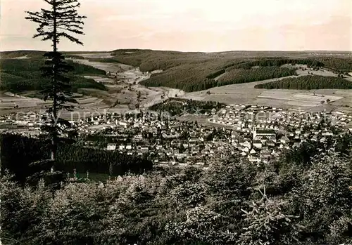 AK / Ansichtskarte Titisee Neustadt Panorama Kat. Titisee Neustadt