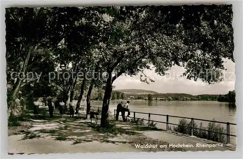 AK / Ansichtskarte Waldshut Tiengen Partie am Rhein