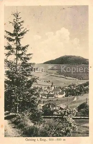 AK / Ansichtskarte Geising Erzgebirge Panorama Kat. Geising Osterzgebirge