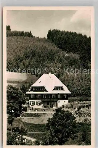 AK / Ansichtskarte Neustadt Schwarzwald Pension Haus Sonnhalde