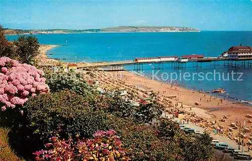 AK / Ansichtskarte Shanklin Hydrangeas Esplanade and Pier Kat. Isle of Wight