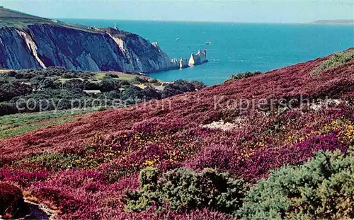 AK / Ansichtskarte Isle of Wight UK Alum Bay and The Needles