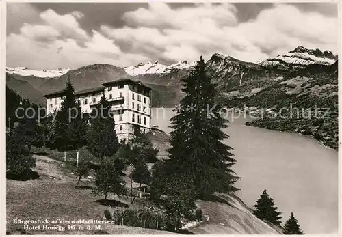 AK / Ansichtskarte Buergenstock Vierwaldstaettersee Hotel Honegg Alpenpanorama Kat. Buergenstock