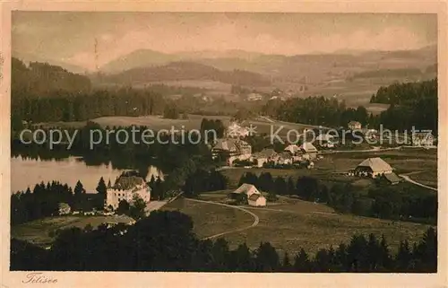 AK / Ansichtskarte Titisee Panorama Kat. Titisee Neustadt