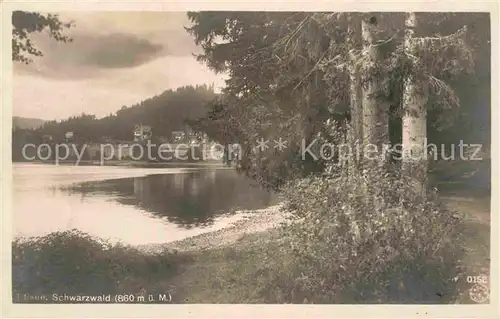 AK / Ansichtskarte Titisee Panorama Kat. Titisee Neustadt