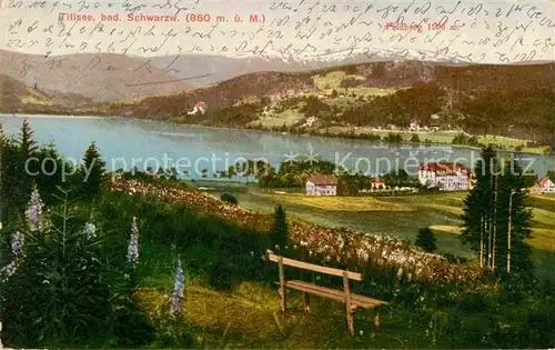 AK / Ansichtskarte Titisee Feldberg Panorama Kat. Titisee Neustadt