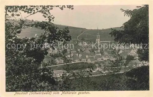 AK / Ansichtskarte Neustadt Schwarzwald Panorama
