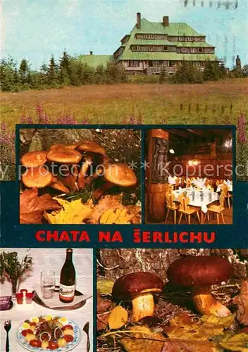 AK / Ansichtskarte Destne Turisticka chata na Serlichu  Kat. Orlicke Hory