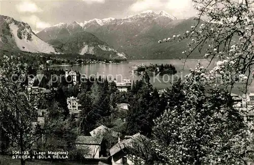 AK / Ansichtskarte Stresa Lago Maggiore e Isola Bella Alpi