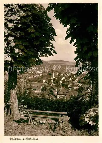 AK / Ansichtskarte Waldshut Tiengen Durchblick vom Waldrand Ruhebank