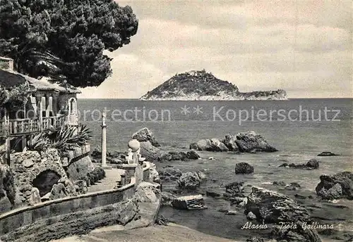 AK / Ansichtskarte Alassio Gallinara Island Riviera dei Fiori Kat. 