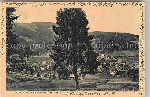 AK / Ansichtskarte Neustadt Schwarzwald Panorama Kirche