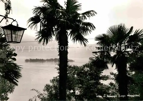 AK / Ansichtskarte Isole di Brissago Lago Maggiore Kat. Isole di Brissago