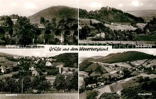 AK / Ansichtskarte Weserbergland Arensburg Schaumburg Rosenthal Buchholz