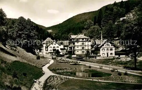 AK / Ansichtskarte Rippoldsau Schwarzwald Bad Mineral und Moorbad Kat. Bad Rippoldsau Schapbach