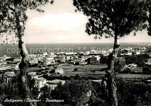 AK / Ansichtskarte Antignano di Liverno Panorama
