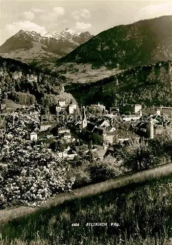 AK / Ansichtskarte Feldkirch Vorarlberg Panorama Kat. Feldkirch