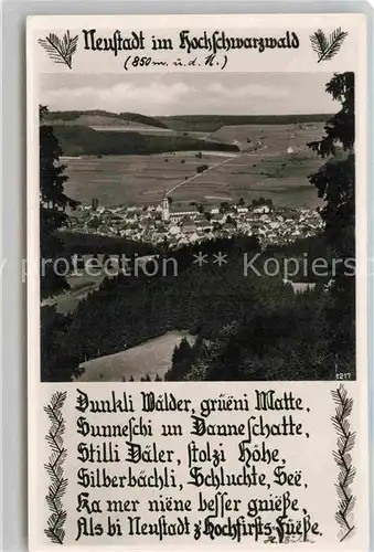 AK / Ansichtskarte Neustadt Schwarzwald Panorama Gedicht