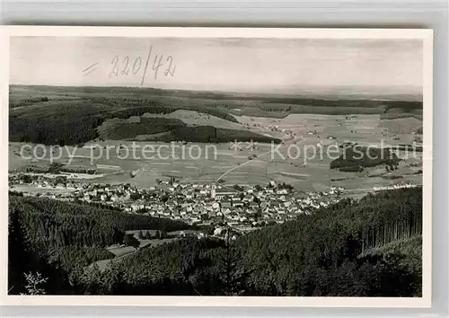 AK / Ansichtskarte Neustadt Schwarzwald Panorama