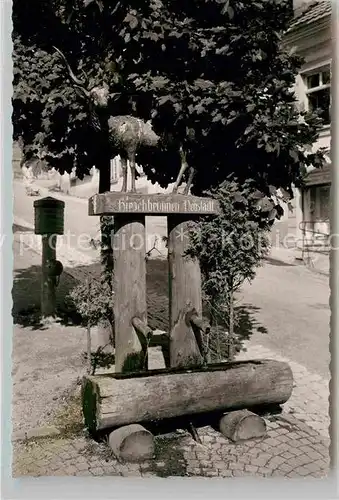 AK / Ansichtskarte Neustadt Schwarzwald Hirschbrunnen