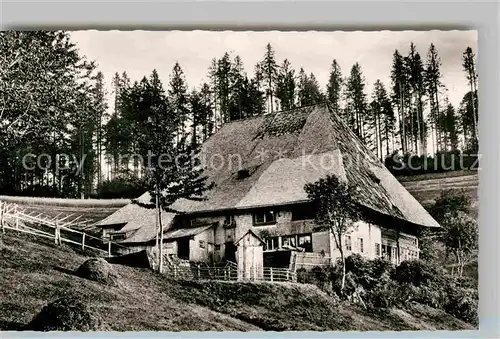 AK / Ansichtskarte Waldau Neustadt Glashof Kat. Friedenweiler