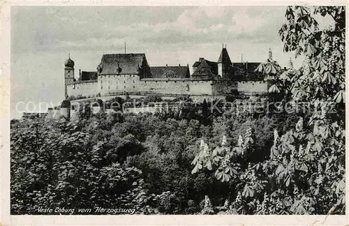 AK / Ansichtskarte Coburg Veste vom Herzogsweg Kat. Coburg