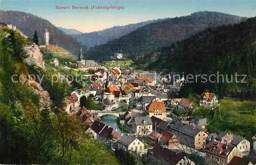 AK / Ansichtskarte Berneck Fichtelgebirge Panorama Kat. Bad Berneck