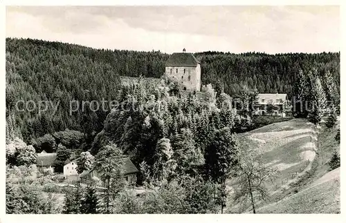 AK / Ansichtskarte Berneck Fichtelgebirge Ruine Stein Kat. Bad Berneck