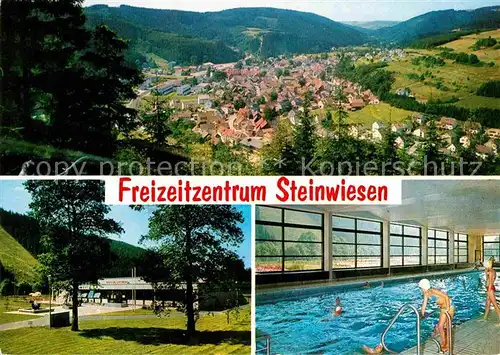 AK / Ansichtskarte Steinwiesen Freizeitzentrum Schwimmhalle Kat. Steinwiesen