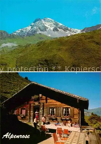 AK / Ansichtskarte Zillertal Ahornspitze Alpenrose Kat. Regionales