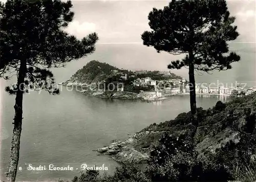 AK / Ansichtskarte Sestri Levante Penisola Kat. Sestri Levante