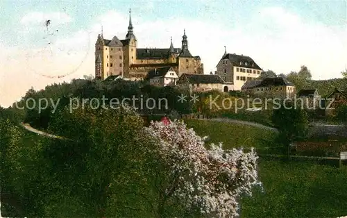 AK / Ansichtskarte Lauenstein Oberfranken Burg Lauenstein Kat. Ludwigsstadt