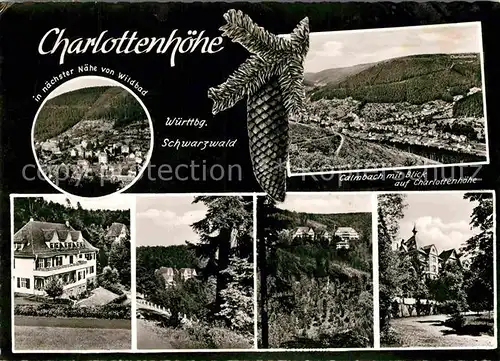 AK / Ansichtskarte Calmbach Enz Panorama Blick auf Charlottenhoehe Tannenzapfen Kat. Bad Wildbad