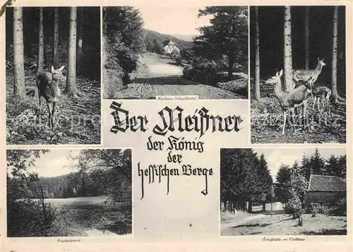 AK / Ansichtskarte Abterode Kurhaus Schwalbental am Meissner Koenig der hessischen Berge Rehe Schutzhuette Kat. Meissner
