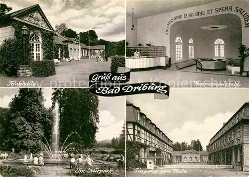 AK / Ansichtskarte Bad Driburg Trinhalle Brunnenausgabe Bad Kurpark Springbrunnen Kat. Bad Driburg