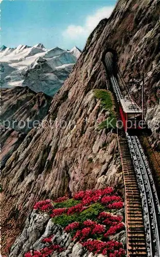 AK / Ansichtskarte Zahnradbahn Pilatus Eselwand Berneralpen  Kat. Bergbahn